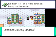 Burmy Binders - Route 104