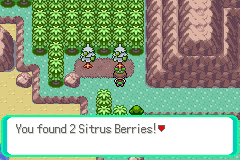 Sitrus Berry Location 1