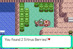 Sitrus Berry Location 2