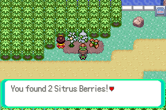 Sitrus Berry Location 3